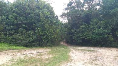 Tanah Pertanian untuk dijual di Simpang Ampat dekat Afamosa Resort
