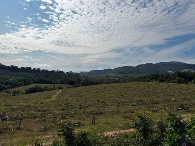 Jasin Jus Freehold Vacant Agri Land Property Road Water Electricity✅