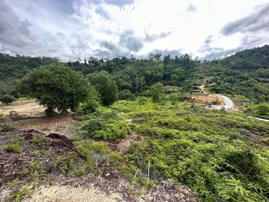 Tanah pertanian chemor