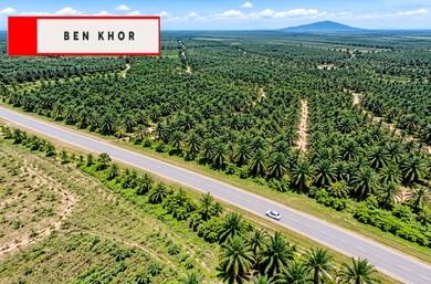Agricultural-Land-for-sale-Baling-Kedah