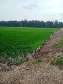 Agricultural-Land-for-sale-Sekinchan-Selangor