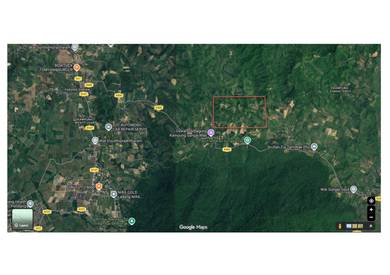 Agricultural-Land-for-sale-Pendang-Kedah