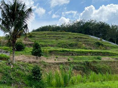 Agricultural Land for Sales