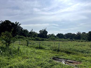 LADANG CILI Berpagar 1.5 ekar Freehold Kpg Batu Tiga SEMENYIH BANGI