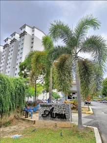 Pangsapuri Alpinia