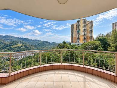 Venice Hill-1