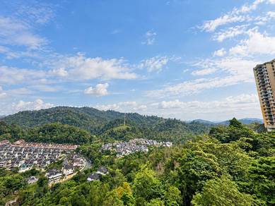 Venice Hill-2