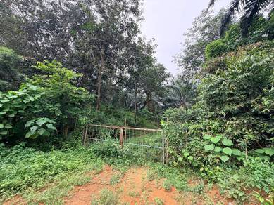 Melaka Jasin Mukim Rim Freehold Land With Reserved Road