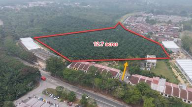 Melaka Jasin Bemban Agri Land 12.7Acres Freehold w/ 300+ Oil Palm