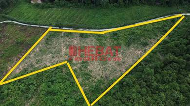 LOT PERTANIAN 4 EKAR , Freehold !! , Jual Murah , ada Akses Jalan.