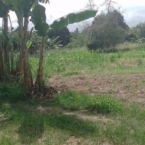 Agricultural-Land-for-sale-Keningau-Sabah