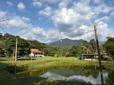 Agricultural-Land-for-sale-Tanjung-Malim-Perak