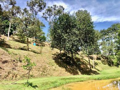 Agricultural-Land-for-sale-Batang-Kali-Selangor