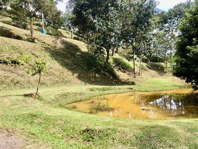 Tanah Dusun Hulu Tamu, Batang Kali
