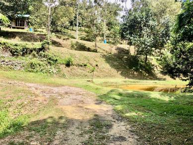 Tanah Dusun Hulu Tamu, Batang Kali