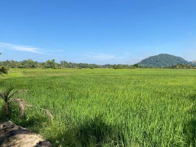 13 Lot Banglo (ingin dijual Lot 2 hingga Lot 14) di Kampung Tepus, Muk