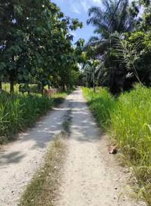 Agricultural-Land-for-sale-Nibong-Tebal-Penang