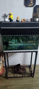 aquarium 2 kaki