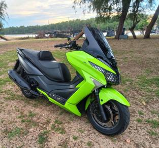 elegan 250 2017