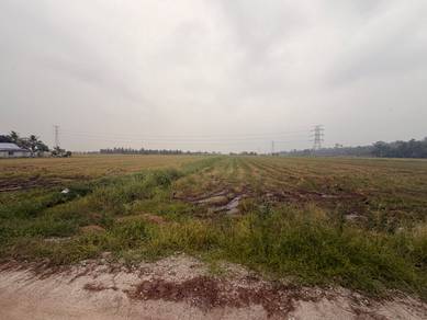 Agricultural-Land-for-sale-Tanjong-Karang-Selangor