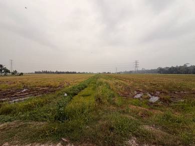 View Cantik 2 Lot Tanah Sawah Bersebelahan di Jalan Setanjung, Blok F
