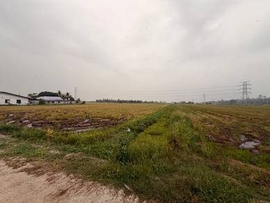 View Cantik 2 Lot Tanah Sawah Bersebelahan di Jalan Setanjung, Blok F