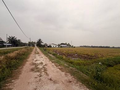 View Cantik 2 Lot Tanah Sawah Bersebelahan di Jalan Setanjung, Blok F