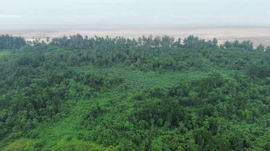 Trombol Land @ Golden Beach, Trombol FOR SALE