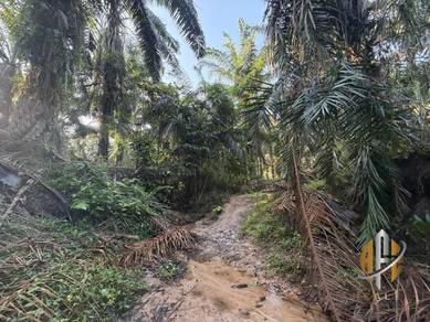 TANAH LADANG KELAPA SAWIT‼️ Geran Individu|Tanah Rata|Ada anak sungai