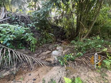 TANAH LADANG KELAPA SAWIT‼️ Geran Individu|Tanah Rata|Ada anak sungai