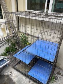 sangkar kucing