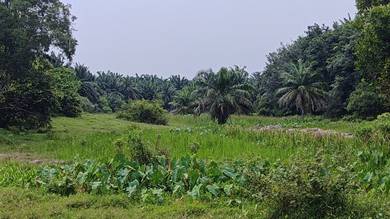 Agricultural-Land-for-sale-Padang-Serai-Kedah