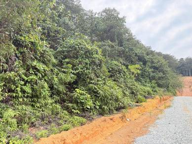Agricultural-Land-for-sale-Sepang-Selangor
