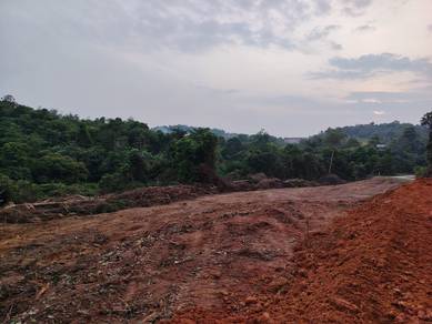 Tanah Tepi Jalan, Mentakab 