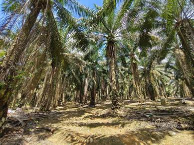 KULAI Residential development suitable Land For Sale