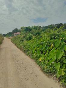Residential-Land-for-sale-Pekan-Pahang