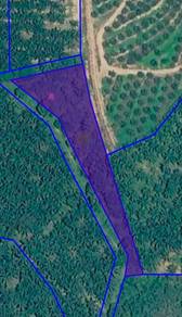 Tanjong Minyak Bertam Agriculture Land
