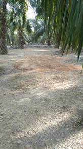 Agricultural-Land-for-sale-Guar-Chempedak-Kedah