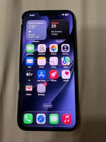 Apple iPhone 13 Pro Max 256 GB