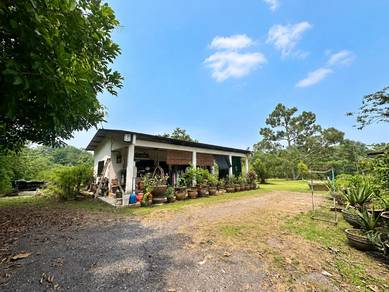 Tanah Pertanian Taman Bukit Emas, Senawang , Seremban for Sale