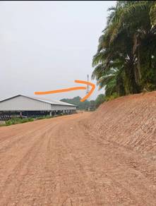 Land For Sale - Mile 5 , Jalan Apas Tawau (Below Market Value)