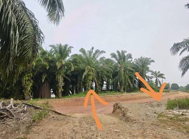 Land For Sale - Mile 5 , Jalan Apas Tawau (Below Market Value)