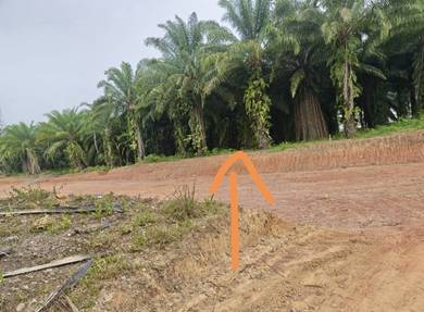 Land For Sale - Mile 5 , Jalan Apas Tawau (Below Market Value)