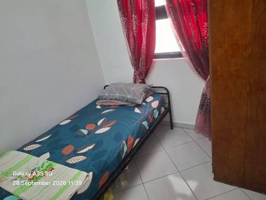 Room to let