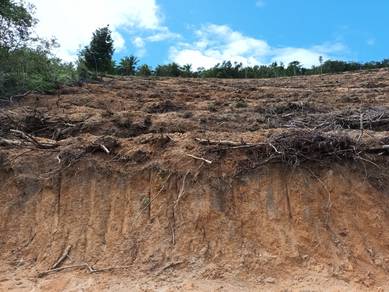 Tanah Pertanian di Changkat Dongsang, Mukim Belanja, Perak