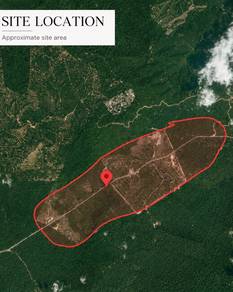 750 Acres Palm Oil Plantation Land For Sale @ Luit, Maran, Pahang