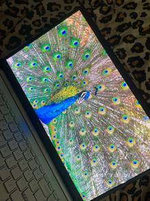 Asus Vivobook Pro 15 OLED