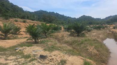 Tampin Palm Oil land Mukim Keru