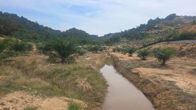 Tampin Palm Oil land Mukim Keru