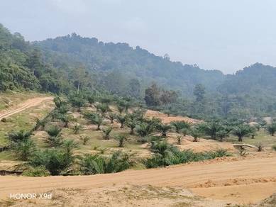 Tampin Palm Oil land Mukim Keru